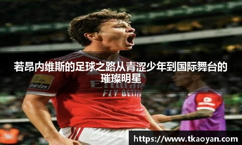 若昂内维斯的足球之路从青涩少年到国际舞台的璀璨明星